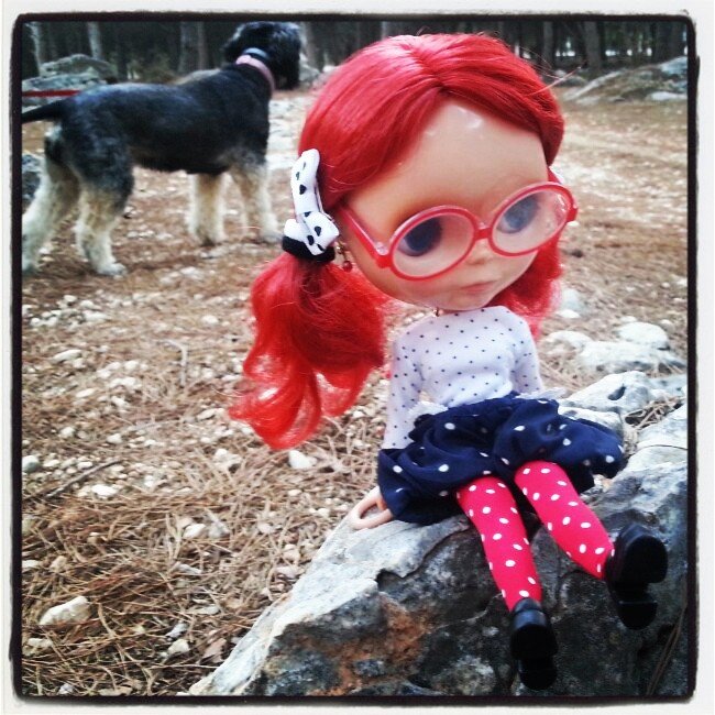 my dog &amp; my Blythe - pannoinno 