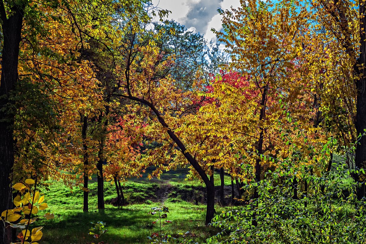 г. Волжский_12.10.2013 год. - OzMann 