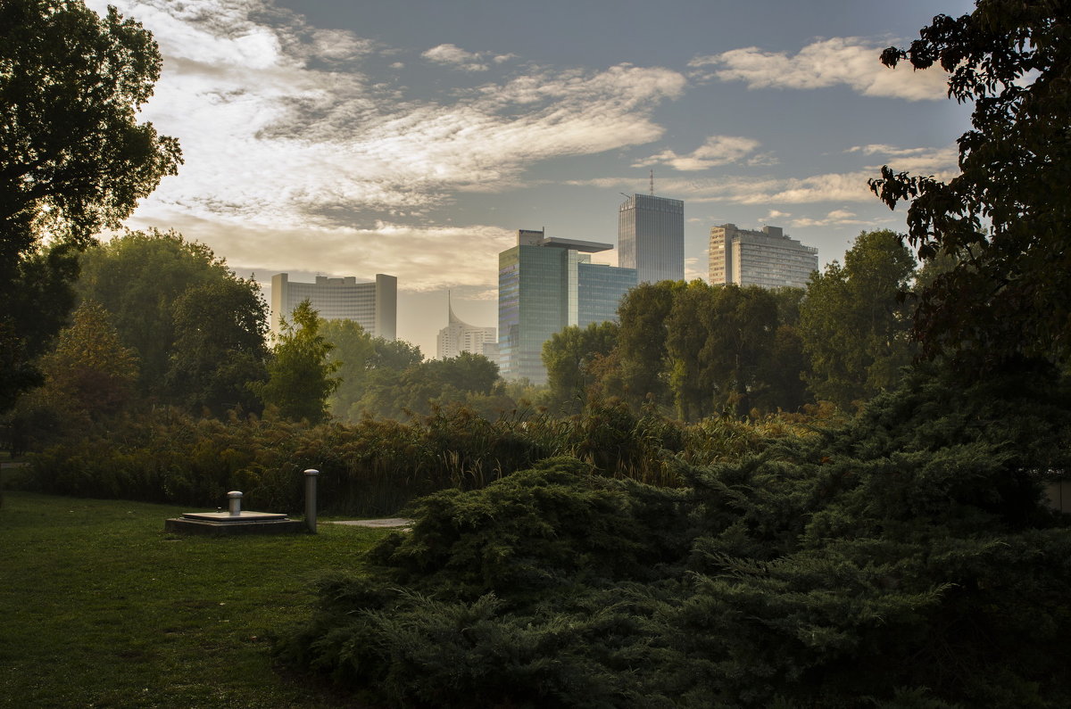 morning in the park - Dmitry Ozersky