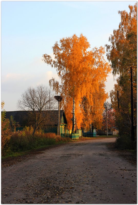 Осень,деревня. - Василий Григорьевич 