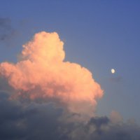 Любовь в облаках :: Любовь Чистякова