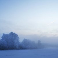 Зимний туман :: Любовь Чистякова