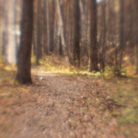 Осенний лес сквозь монокль :: Nina Voyager