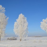 природа зима :: Юлия Кучерова