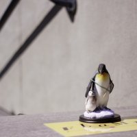 пингвины на льдине :: Михаил Кондулинский
