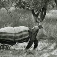 ... :: Владимир Хроменков