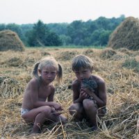 "Зайчата" :: Николай Волуйко