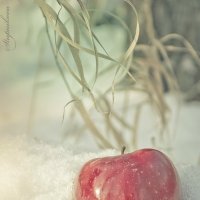 waiting for spring :: Алена Ступникова