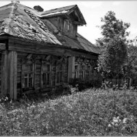 Две семьи. :: Владислав Куликов