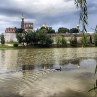Новодевичий монастырь :: Андрей Григорьев