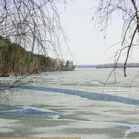 Вот оно....начало.....весны, жизни.... :: Стил Франс