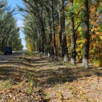 Осенний марафон :) :: Валентин Родоманов