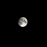 Луна :: Anton K