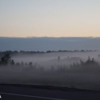 on the foggy road :: Yulia Konovalova