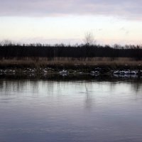 река Птичь :: Werona97 