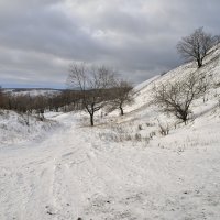 ... :: Андрей ЕВСЕЕВ