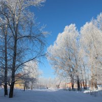 Зима на моей улице. :: Наталья Юрова