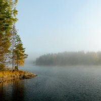 Туман уходит... :: ПетровичЪ,Владимир Гультяев