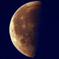 Луна :: Андрей Бимов