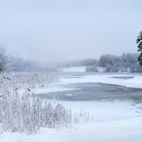 Беберлини зимой (7) :: Сергей Садовничий