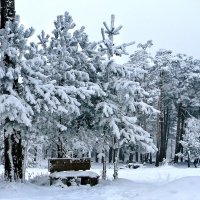 Беберлини зимой (8) :: Сергей Садовничий