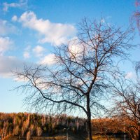 на лодочной :: Елена Кулиева