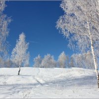 *** :: Наталья Юрова