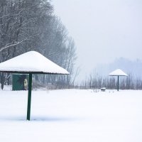 Грибочки :: юрий Амосов