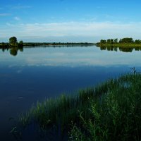 Лето. Бия. Большая вода. :: Владимир Михайлович Дадочкин