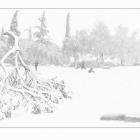Зимний парк, Израиль - Ариель :: Борис Херсонский