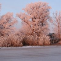 зимняя сказка :: Владимир Горбунов