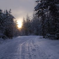 Буранник :: Алексей Некрасов