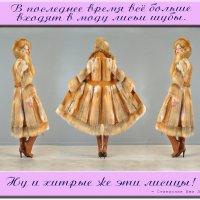 Хитрые лисицы! :: ВАСИЛИСА АЛЕКСЕЕВНА