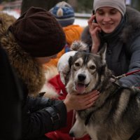 *** :: Олег Семенцов