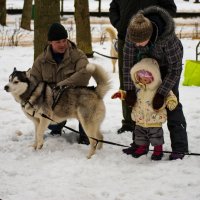 *** :: Олег Семенцов