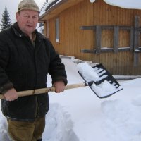 В нашем саду :: Виктор Куклин