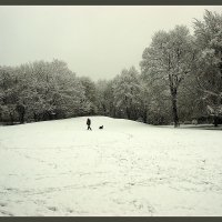 Зимой в парке... :: Boris Alabugin