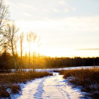 Прогулка :: Евгений | Photo - Lover | Хишов