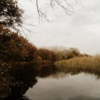 наше маленькое озеро :: Lenochka Ivchenko(Polovinko)