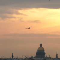 Чайка :: ПетровичЪ,Владимир Гультяев