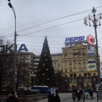 Москва :: Ольга Кривых