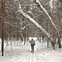 На лыжне :: Александр Садовский