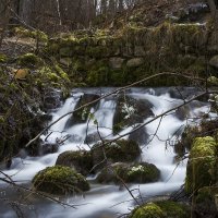 В поиске ракурса... :: Сергей Петров