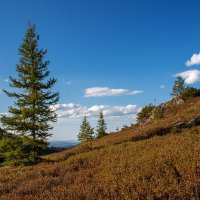 В горах :: Светлана Овчинникова