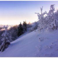 *** :: Андрій Кізима