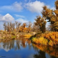 краски осени :: Владимир Горбунов