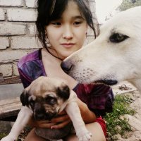 Айша,Ева и ее щеночек :: Анара 