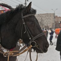 Каждый о своём... :: Алёна Михеева