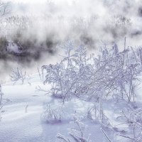 Зимний туман :: Олег Самотохин