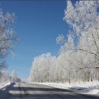 По сибирским дорогам. :: Наталья Юрова